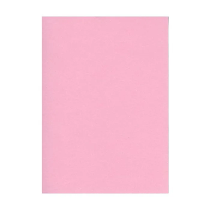 Fiches Bristol Unies A6 - 105 x 148 mm - Rose ELVE Lot de 100