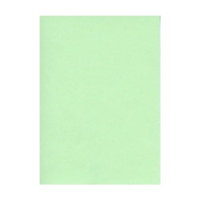 Fiches Bristol Unies A6 - 105 x 148 mm - Vert ELVE Lot de 100