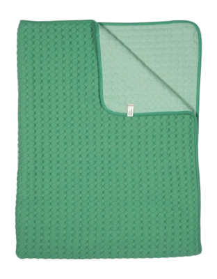 Plaid Pip Studio Fill In The Dots Vert