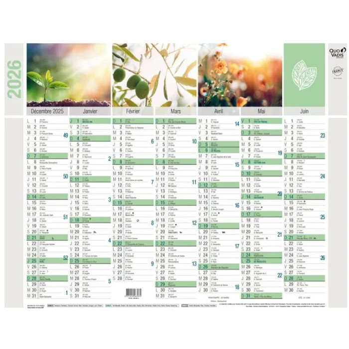 Calendrier mural 2026 - Equology - 550 x 405 mm QUO VADIS