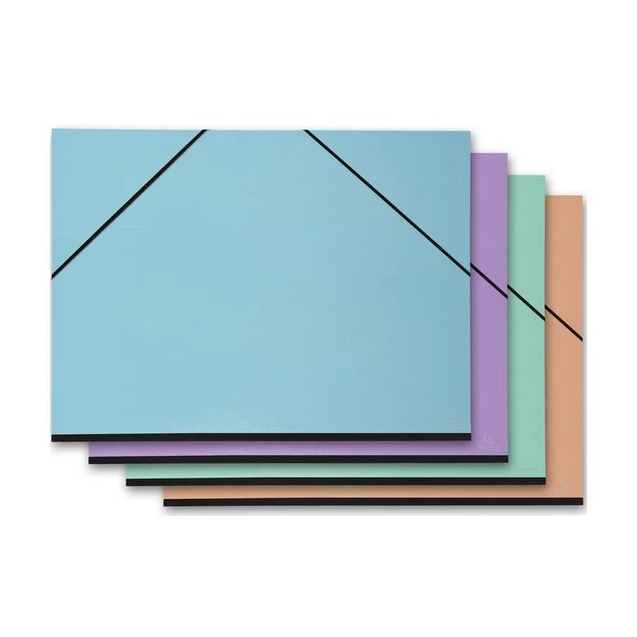 Carton à Dessin - 520 x 720 mm - Raisin - Assortiment EXACOMPTA Aquarel