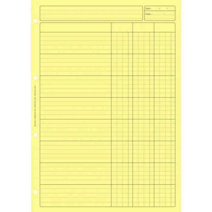 BLOC AUDIT JAUNE 3 colonnes avec en-tête (Elve)