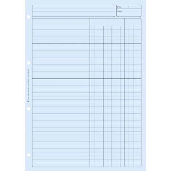 BLOC AUDIT BLEU 3 colonnes avec en-tête (Elve)