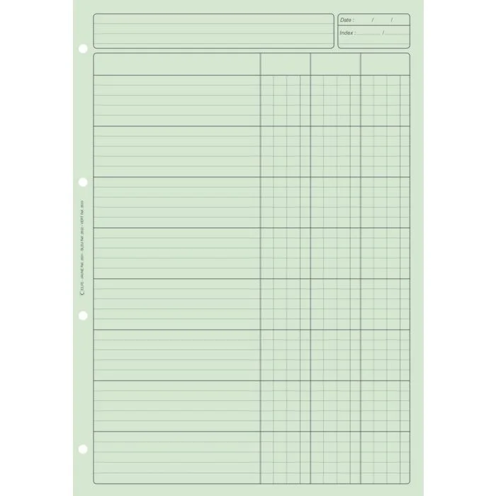 BLOC AUDIT VERT 3 colonnes avec en-tête (Elve)