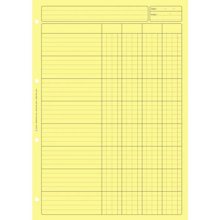 BLOC AUDIT JAUNE avec 4 colonnes (Elve)