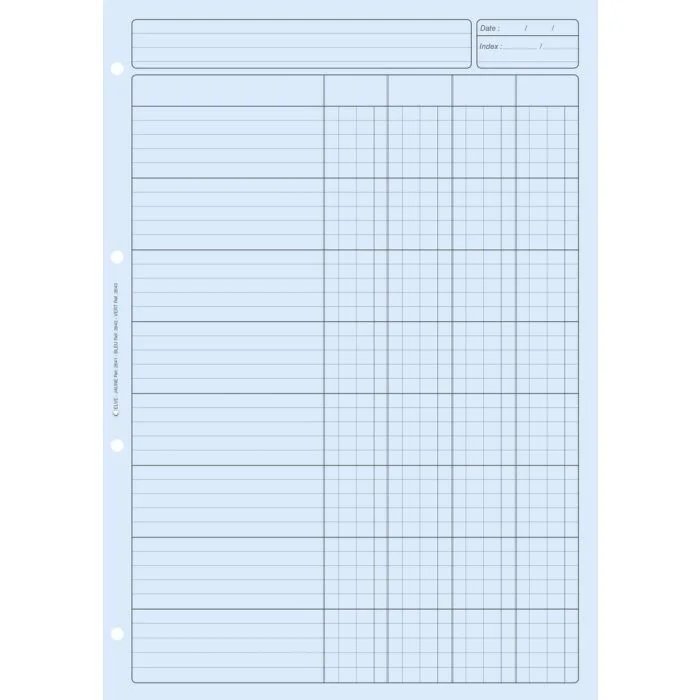 BLOC AUDIT BLEU 4 colonnes avec en-tête (Elve)