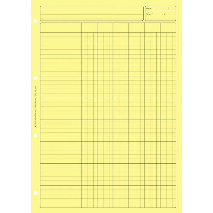 BLOC AUDIT JAUNE comptable 6 colonnes (Elve)