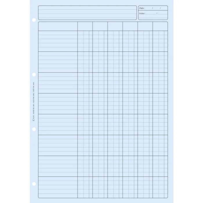 BLOC AUDIT BLEU Feuille de Travail 6 colonnes (Elve)