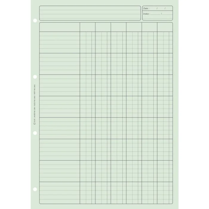 BLOC AUDIT VERT 6 colonnes avec en-tête (Elve)