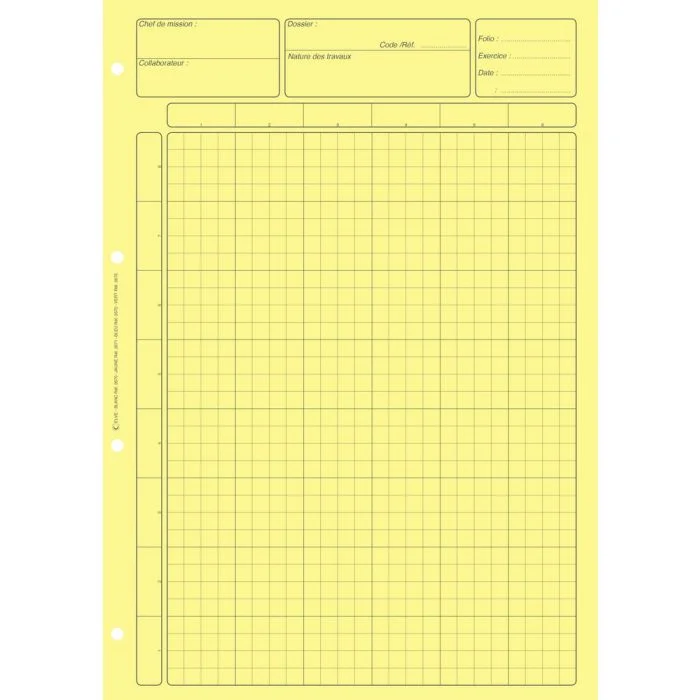 BLOC JAUNE Elve Matrice pour contrôle interne