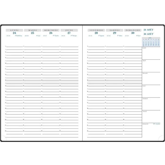Recharge pour Agenda 2025/2026 Semainier SAD 29 - 297 x 210 mm EXACOMPTA Vérone