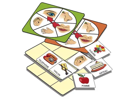 Jeu 5 sens contient 2 bases plastique 20x20cm 5 supports 35 cartes 6x6cm 1 guide