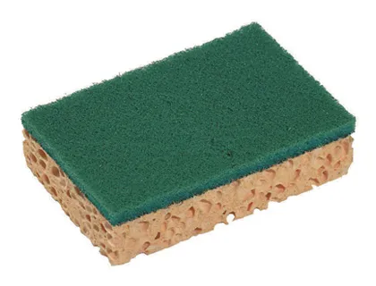Éponge économique 110x70x24mm grattante sachet 10 unités