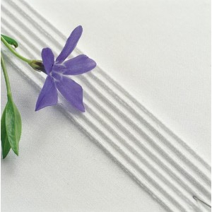 Pied à 7 nervures Husqvarna