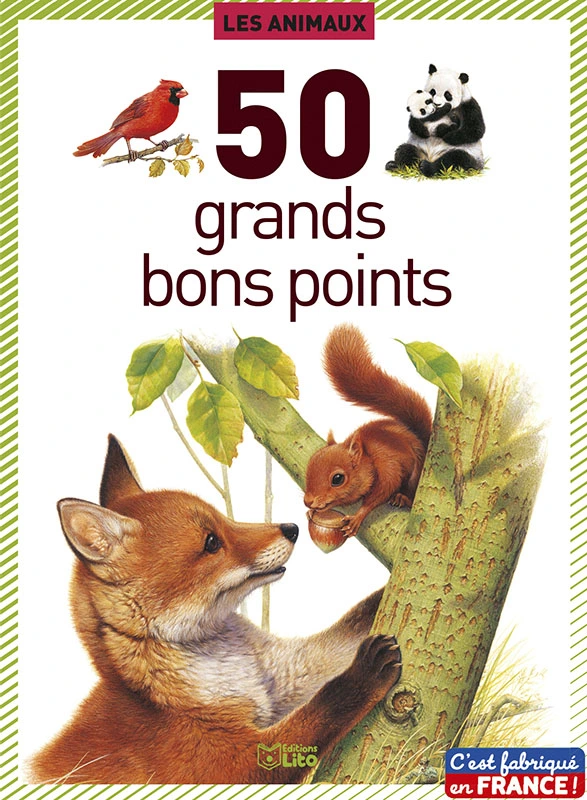 Bon point éditions lito animaux texte pédagogique au verso 140x102mm boîte 50 unités