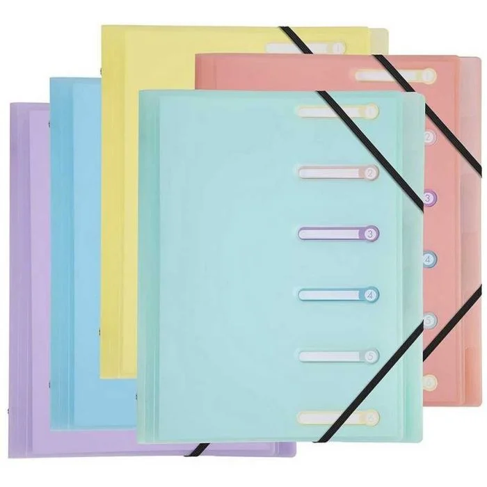 Trieur 6 compartiments - Assortiment EXACOMPTA Chromaline Pastel