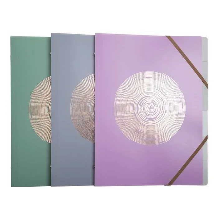 Trieur 6 compartiments - Assortiment EXACOMPTA Ellipse