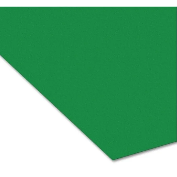 Carton de Bricolage 500 x 700 mm - Vert Mousse - 300 g/m² FOLIA Lot de 10