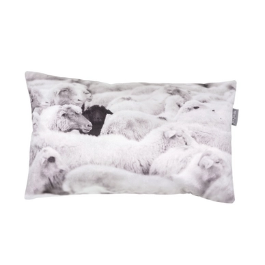 Coussin Walra Jort Off Blanc(30 x 50 cm)