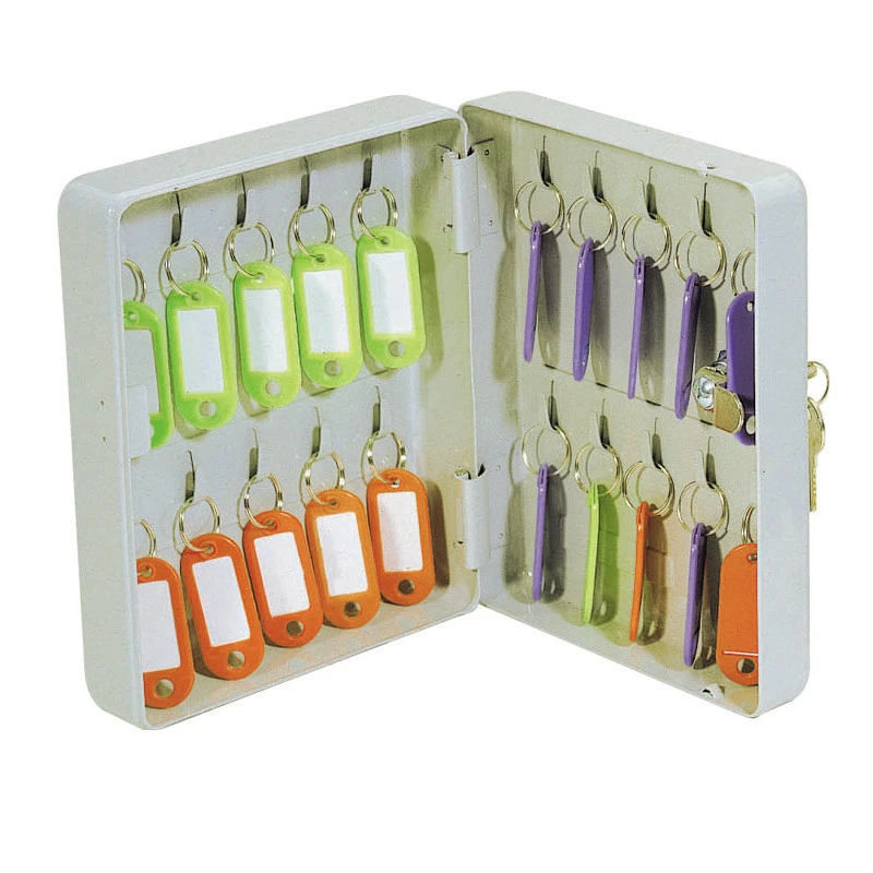 Armoire a cles sign fixation murale fermeture a cle contenance 20 cles