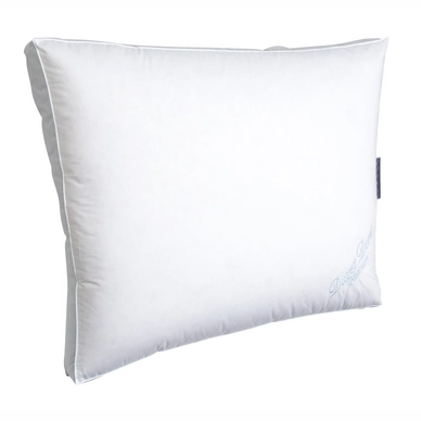 Oreiller Boîte Duvet Dore Ducky Dons Platine 60% Duvet d'Oie