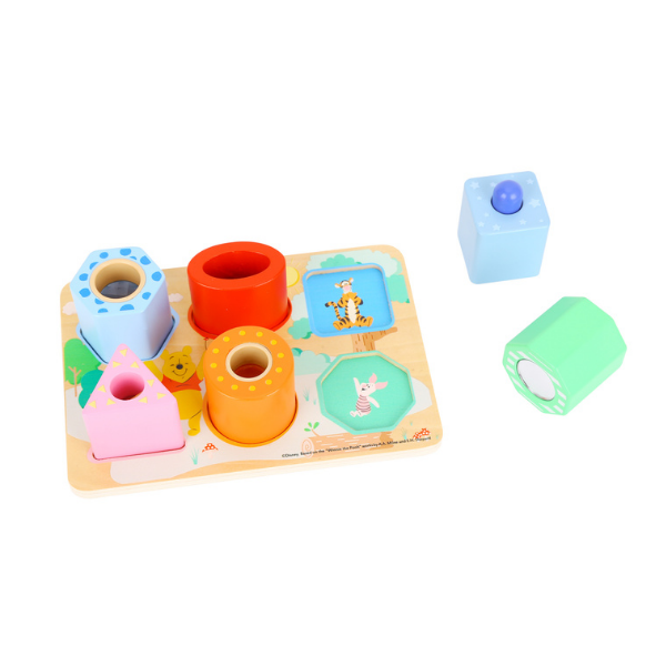 Wooden Function Block Puzzle