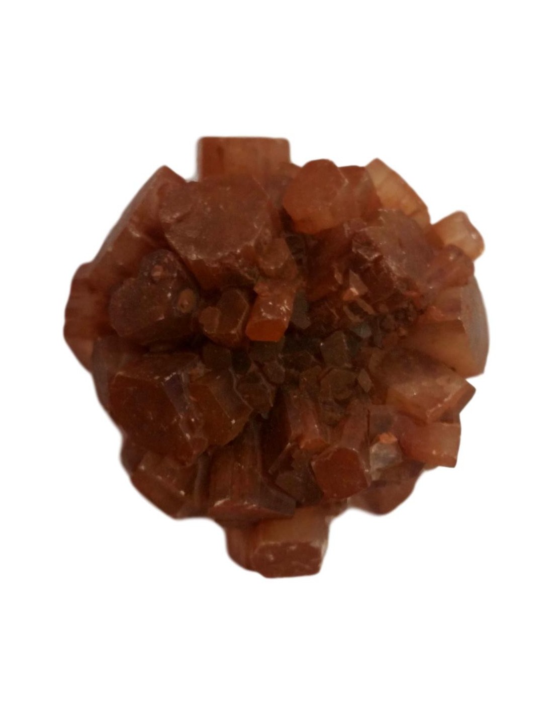 Aragonite - Renforcez votre système immunitaire et améliorez votre digestion avec ce minéral essentiel