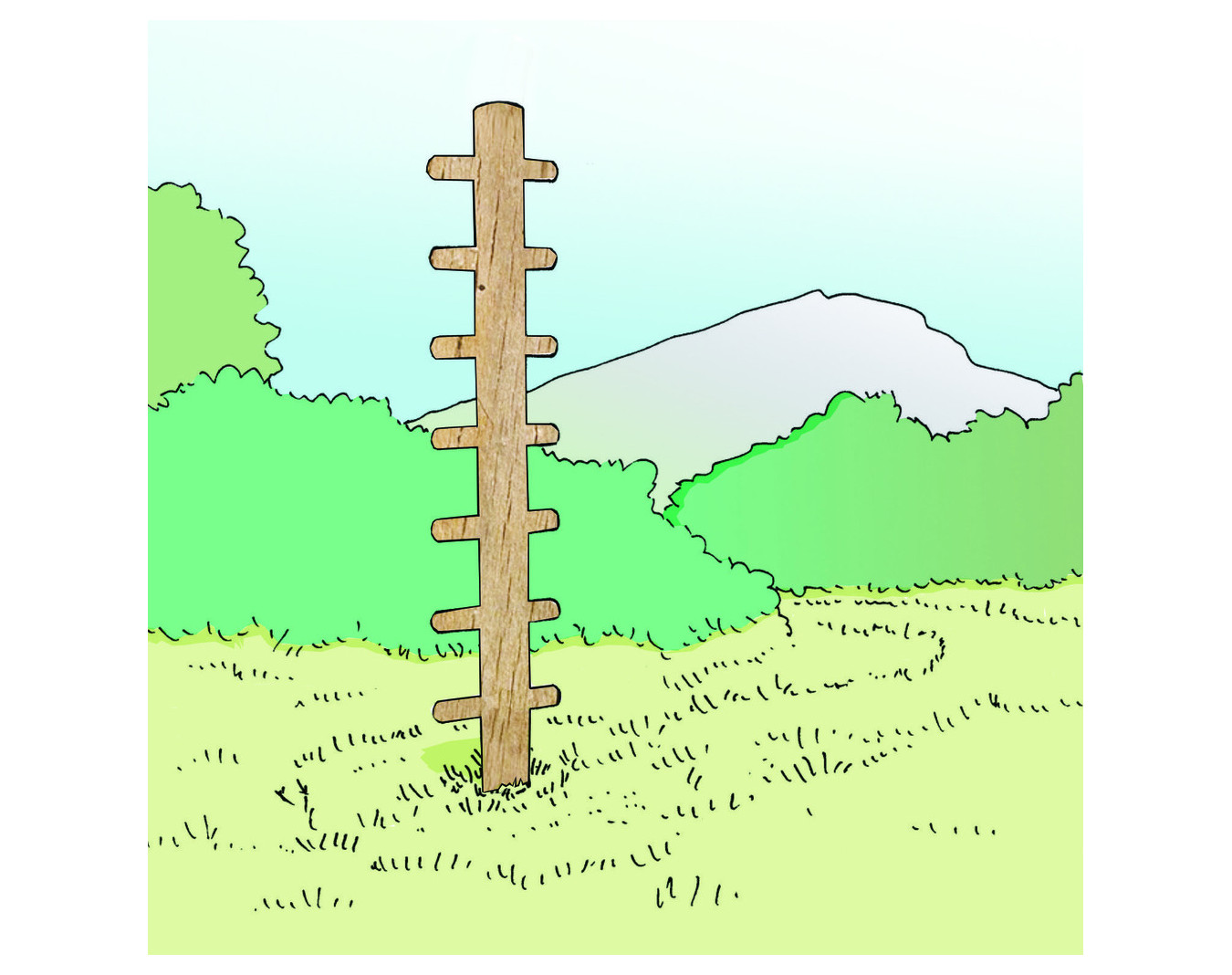 Arbre - Parcours sportif