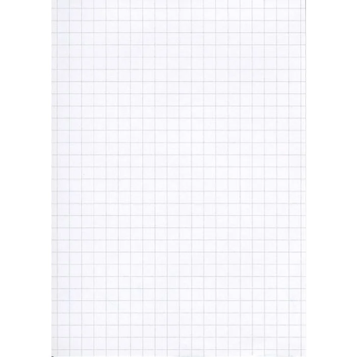 Fiches Bristol Quadrillées - 148 x 210 mm A5 - Blanc ELVE Lot de 100
