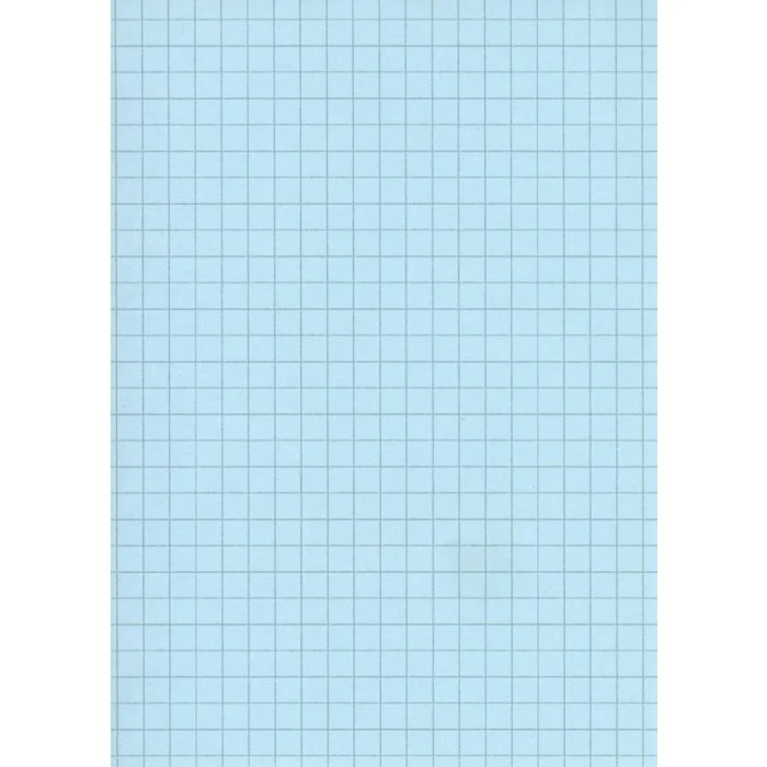 Fiches Bristol Quadrillées - 297 x 210 mm A4 - Bleu ELVE Lot de 100