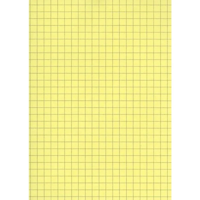 Fiches Bristol Quadrillées - 297 x 210 mm A4 - Jaune ELVE Lot de 100