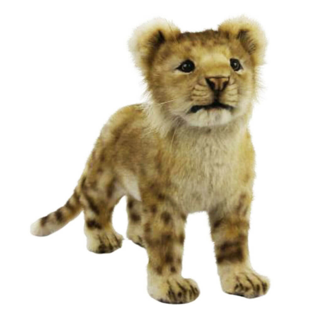 Hansa Standing Lion Cub (40 cm L)