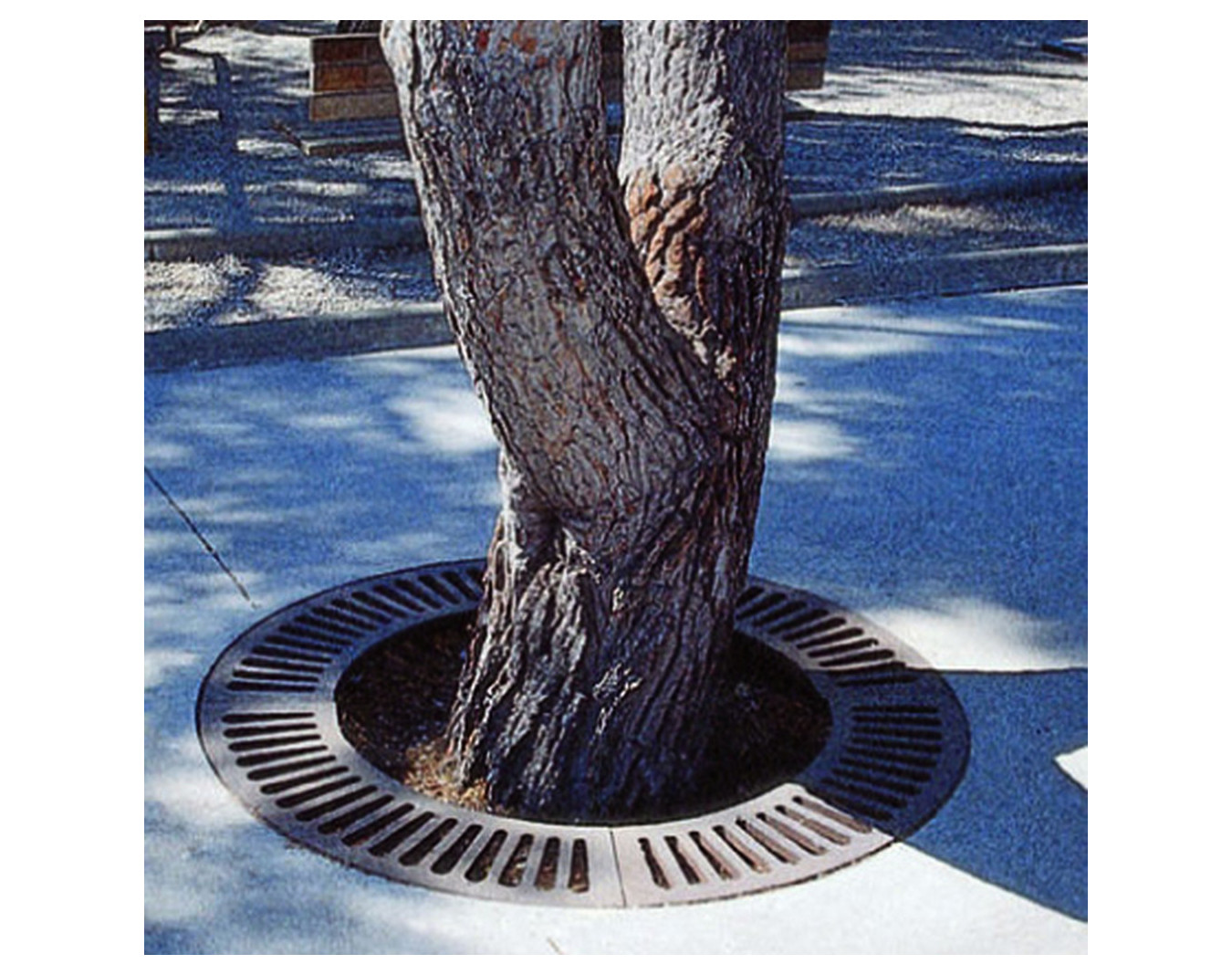 Cadre pour grille d'arbre Circular V2
