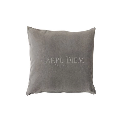 Coussin Décoratif Aquanova Carpe Diem Gris Argent (45 x 45 cm)