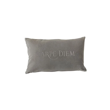 Coussin Décoratif Aquanova Carpe Diem Gris Argent (30 x 50 cm)