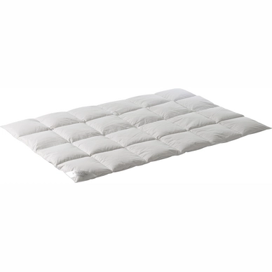 Couette Tempérée Duvet d'Oie Taurus Ducky Dons