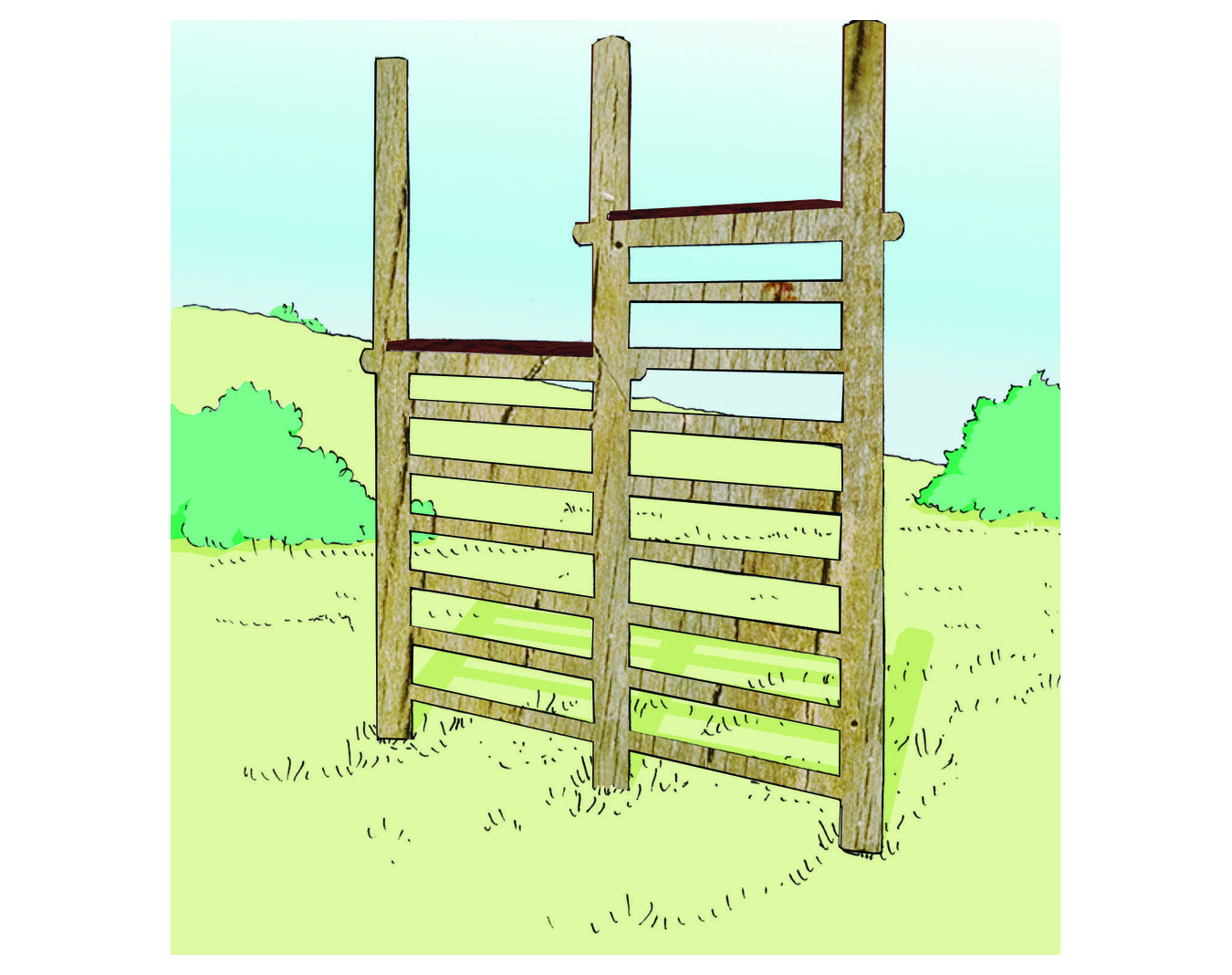 Échelles de saut - Parcours sportif