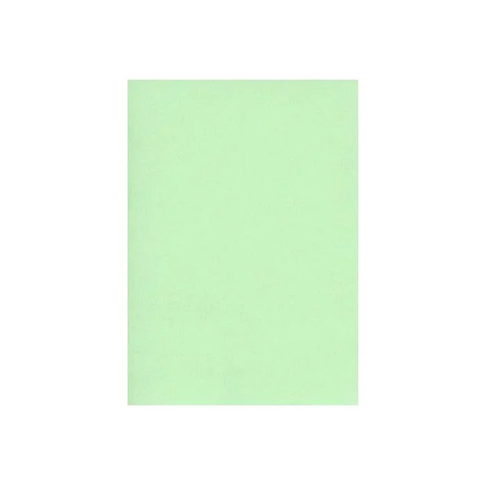 Fiches Bristol Unies A3 - 297 x 420 mm - Vert ELVE Lot de 100