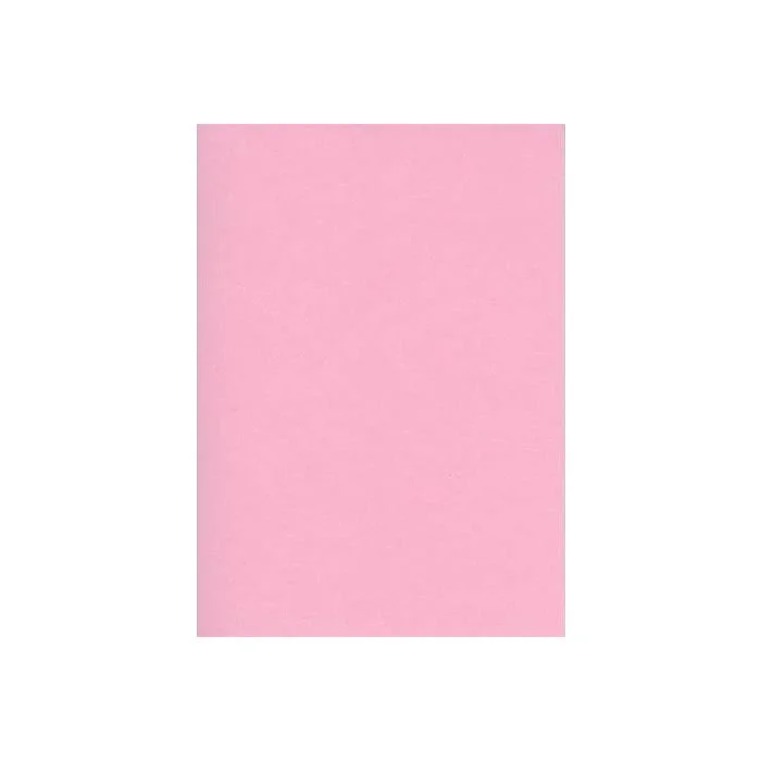 Fiches Bristol Unies A4 - 297 x 210 mm - Rose ELVE Lot de 100