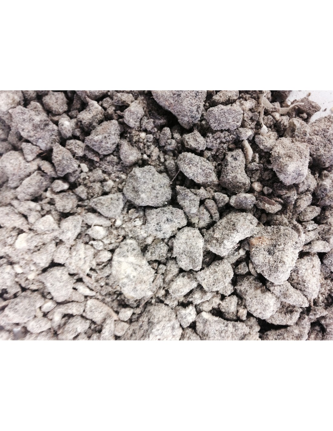 Encens Djaoui Noir - Profitez d'une ambiance apaisante et d'une purification énergétique