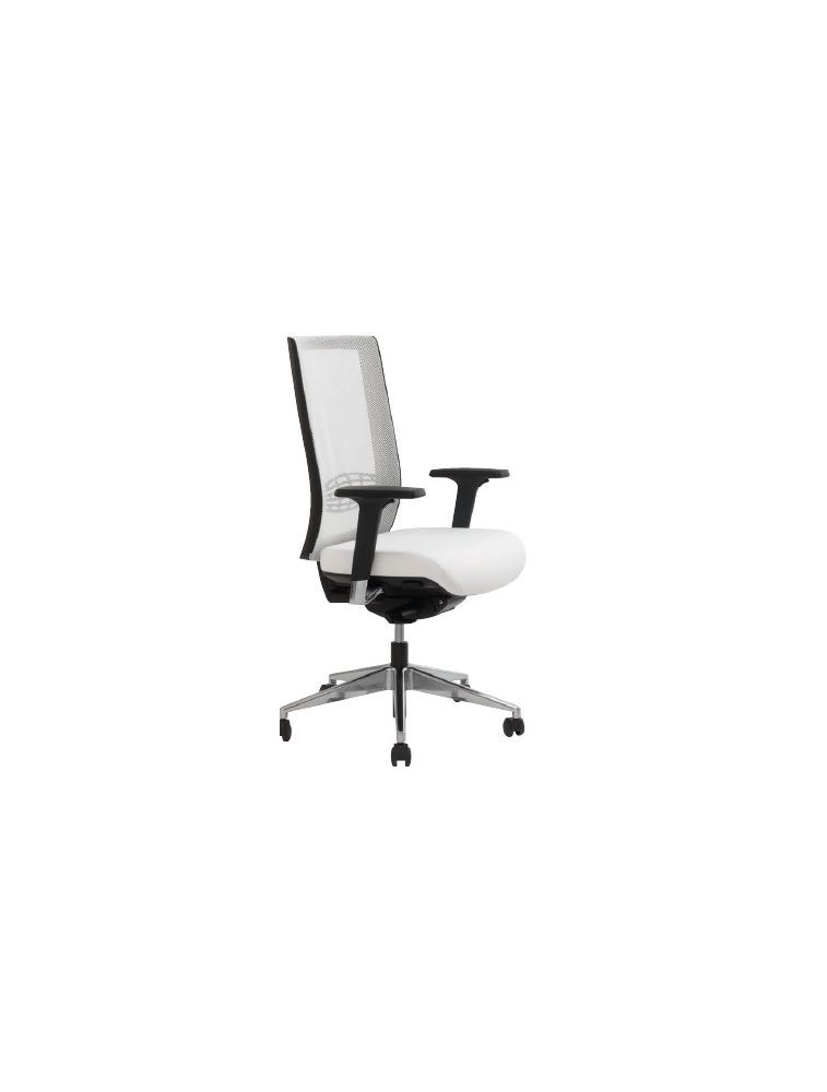 Fauteuil VLAD Bureautique ergonomique 3379