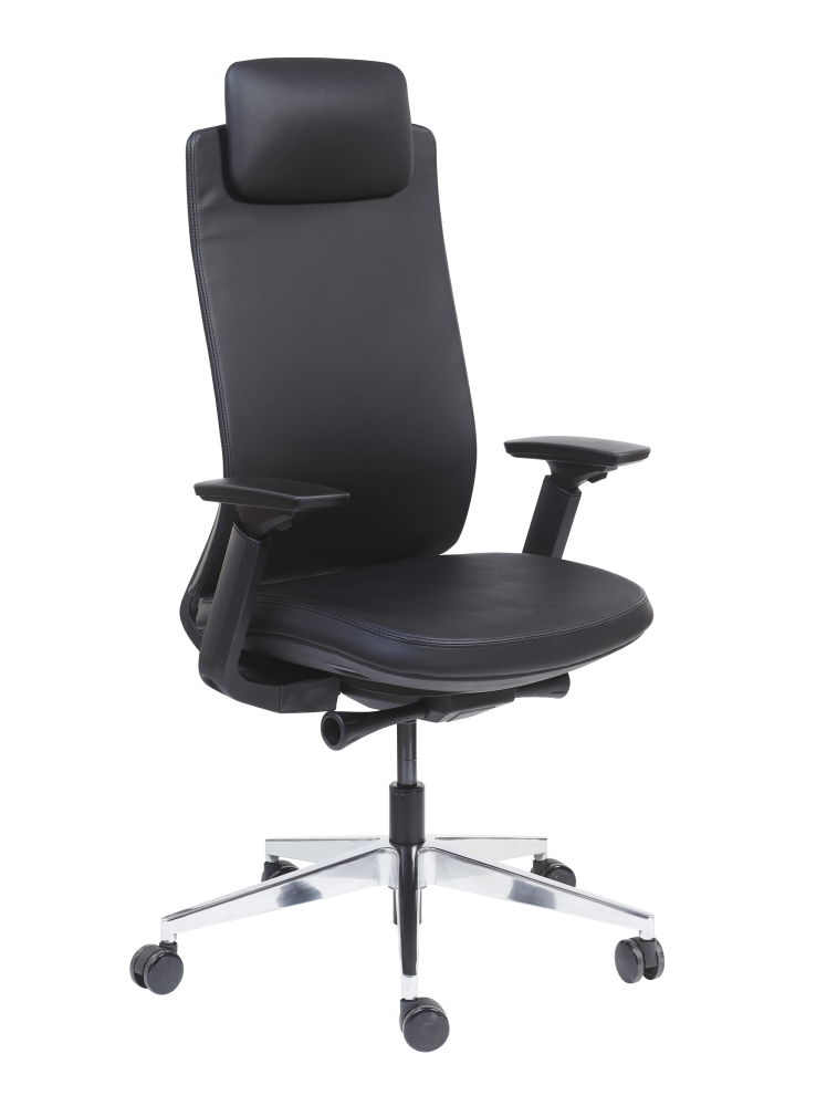 Fauteuil De Bureau Ergonomique|Alexander 7655| Sitek