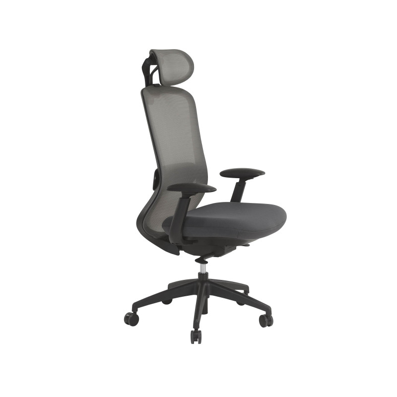 Fauteuil Ergonomique MEMORY Réf. 7900 – Mécanisme Synchrone – Assise à Mémoire de Forme – Usage Polyvalent - SITEK