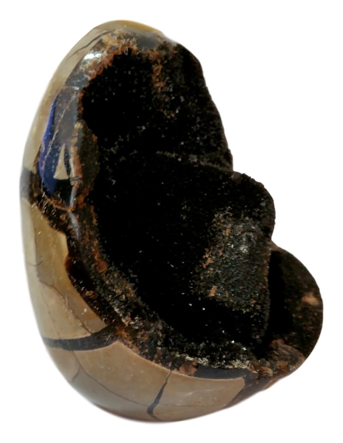 Géode en Septaria cristallisée - Une merveille naturelle pour l'harmonie et la protection