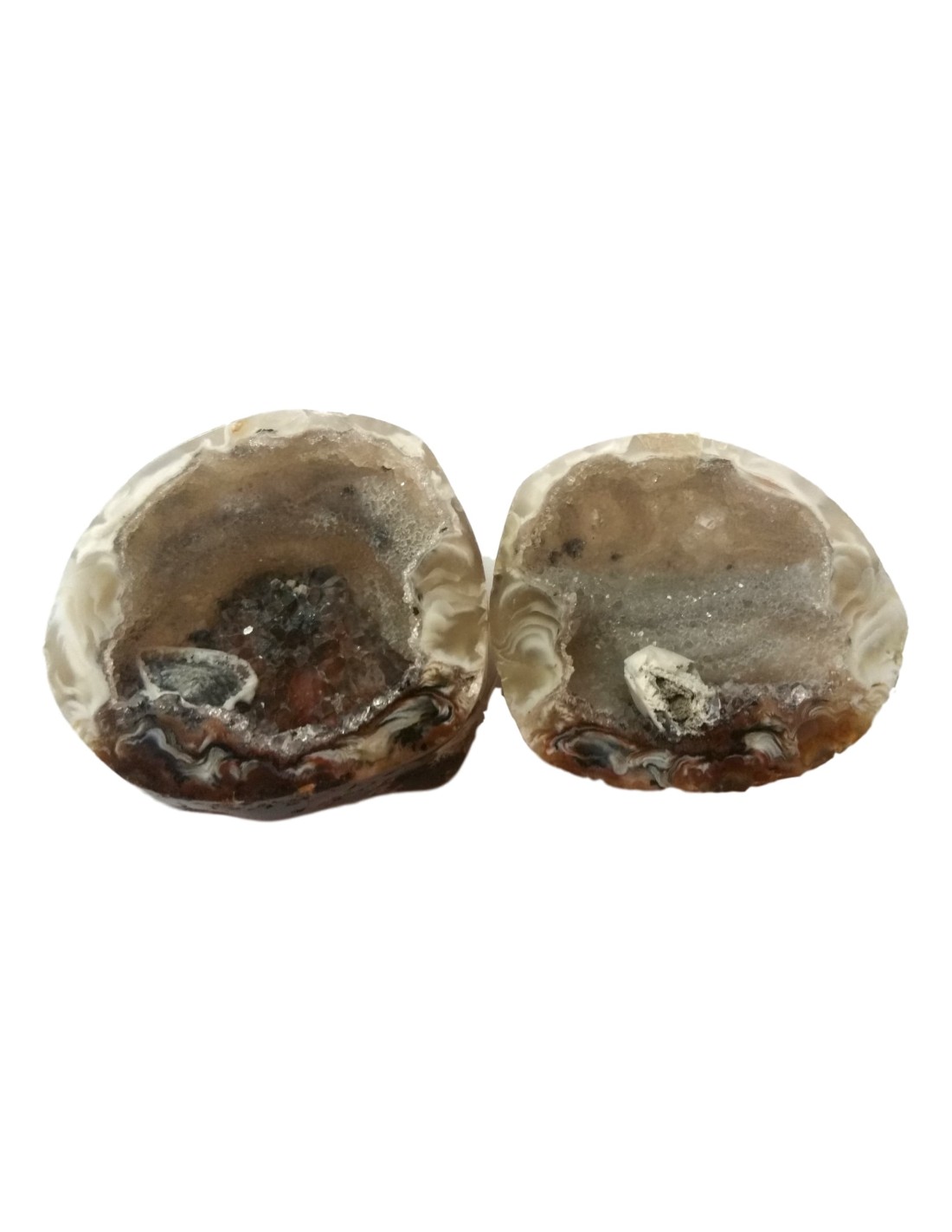 Géodinos en agate - Des jouets éducatifs et décoratifs pour stimuler la curiosité des enfants