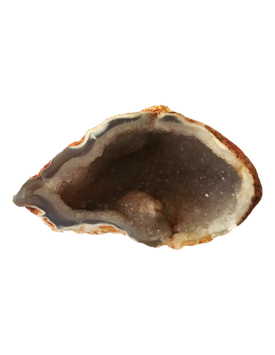 Géodinos en cristal - Des décorations uniques pour illuminer votre intérieur