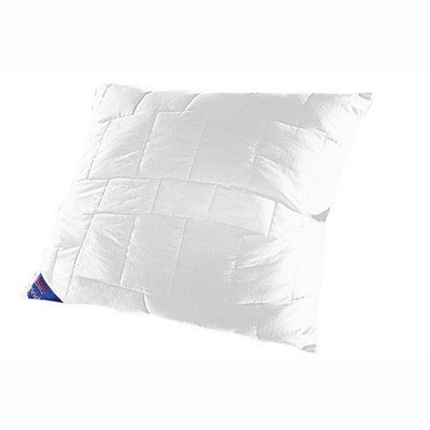 Oreiller Washcotton Frankenstolz