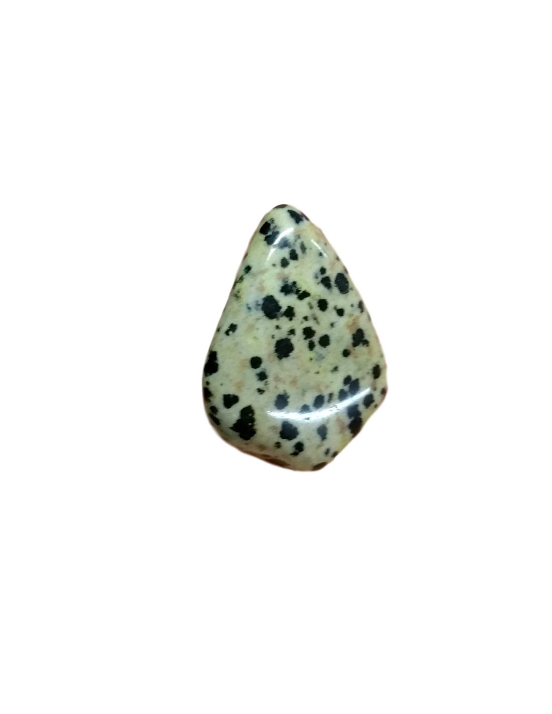 Jaspe Dalmatien en Pierre Roulée 5/6 cm - Équilibre et Protection pour une Harmonie Intérieure