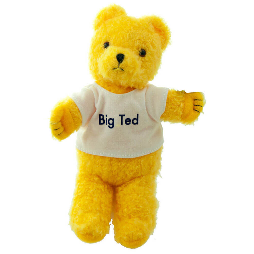 École de jeu officiellement agréée Big Ted Beanie