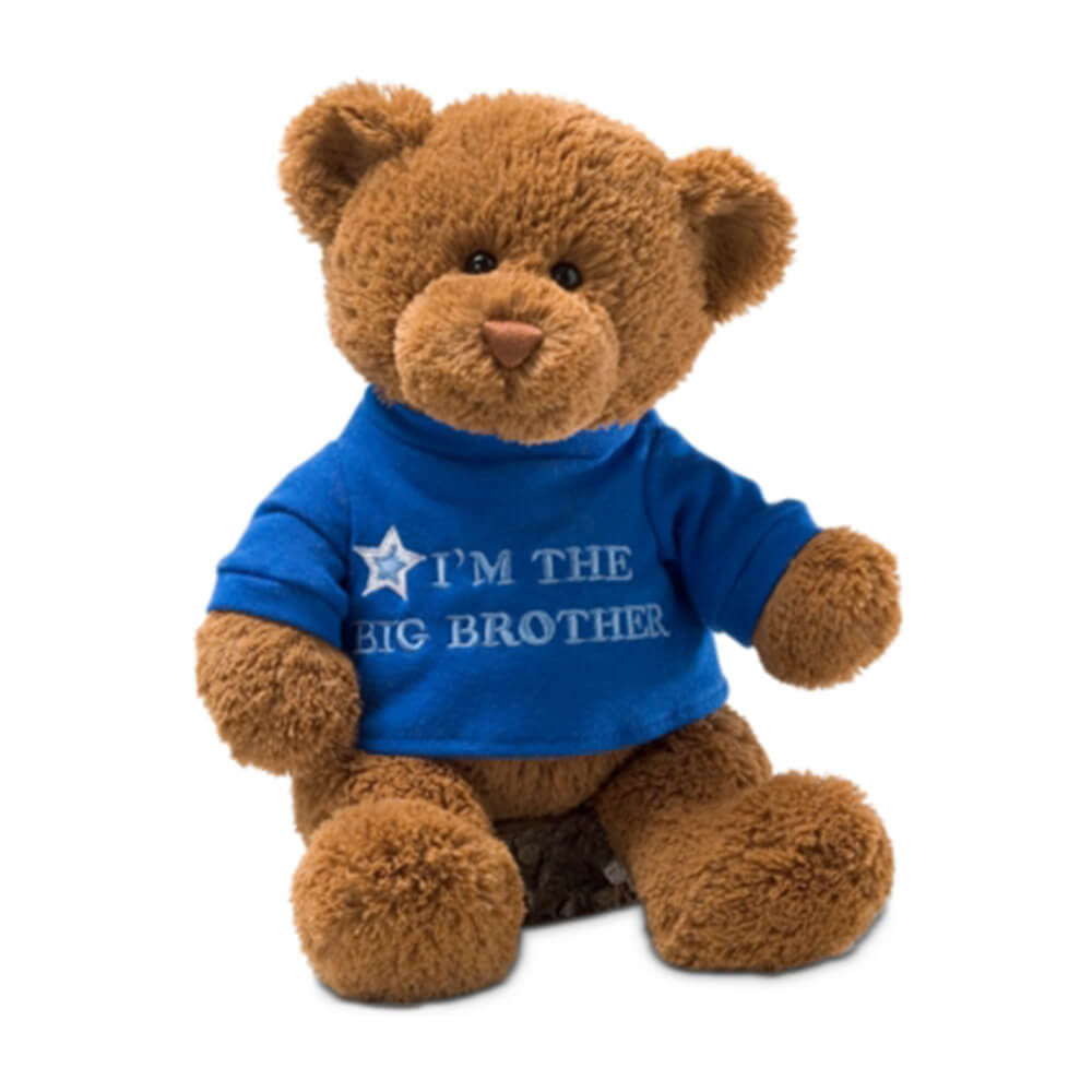Gund Big Brother Bear (bleu)